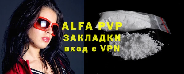 спиды Богородицк