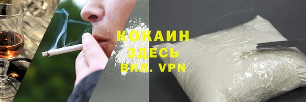 спиды Богородицк
