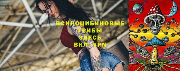 ECSTASY Богородск