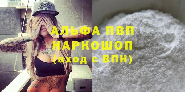 спиды Богородицк