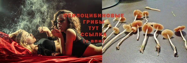ECSTASY Богородск
